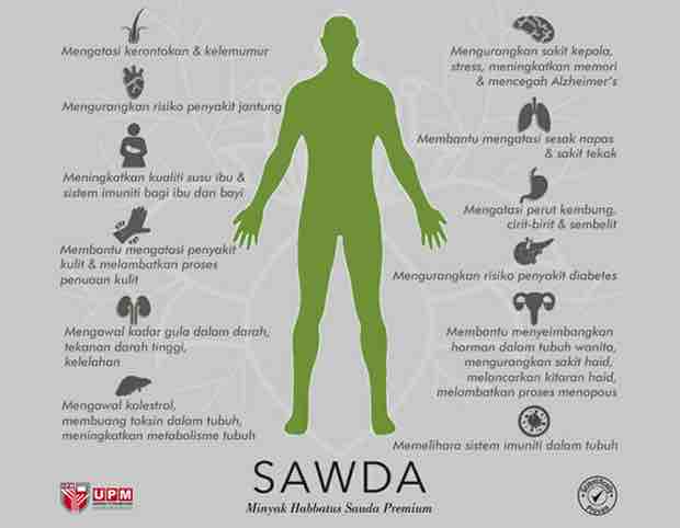 sawda habbatussauda manfaat